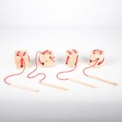 Wooden Lacing Shapes 