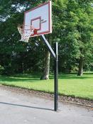 Professional Basketball Unit