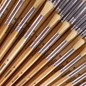 Hogs Hair Educational Brush Pack Round Size 10 Box of 50
