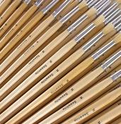Hogs Hair Educational Brush Pack Round Size 14 Box of 50