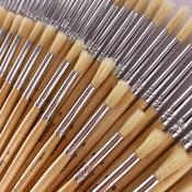 Hogs Hair Educational Brush Pack Round Size 8 Box of 50