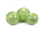 Physio Gym Ball 