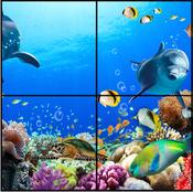 LED Ceiling Panels Fish - Non-interactive