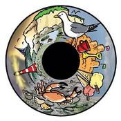 Seaside Opti Effect Wheel