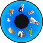 Family Pets Opti Effect Wheel