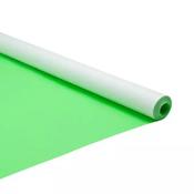 Poster Paper Rolls 10m Pale Green