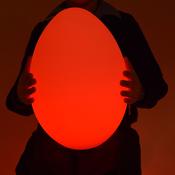 Colour Changing Egg  image