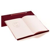 Sensory Writing Slope - Red