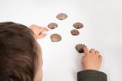 Eco Friendly Tactile Shells 