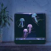 Extra Large Jelly Fish Tank