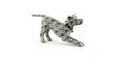 Running a Successful Pet Business in Ireland