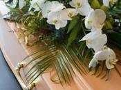 Funeral Pre-Planning image