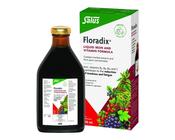 Floradix Liquid 500Ml image