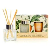 AAA Orange Blossom Diffuser &amp; Candle Collection image