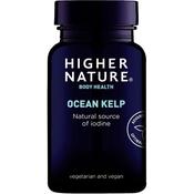 Higher Nature Ocean Kelp 300Mg 180 Tabs MAY 26 image