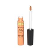 Maxfactor Facefinity Concealer 050 image
