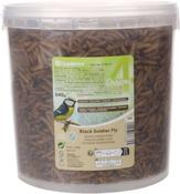 4 Seasons Dried Black Soldier Fly Larvae 540gr image