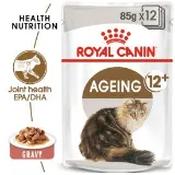 Royal Canin Ageing 12+ Wet Cat Food in Gravy 48x85g image