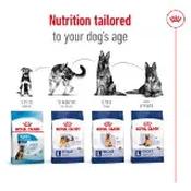 Royal Canin Border Collie Adult Dry Dog Food 12kg image