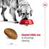 Royal Canin Boxer Puppy Dry Dog Food 3kg image