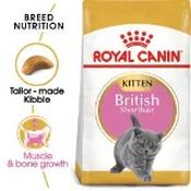 Royal Canin British Shorthair Kitten Dry Cat Food 2kg image