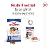 Royal Canin Bulldog Adult Dry Dog Food 12kg image