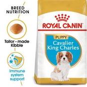 Royal Canin Cavalier King Charles Puppy 1.5kg