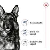 Royal Canin Cocker Spaniel Puppy Dry Dog Food 3kg image