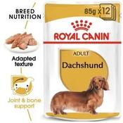 Royal Canin Dachshund Adult Wed Dog Food Loaf 85g Pouch image