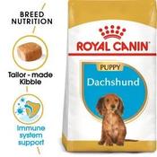 Royal Canin Dachshund Puppy 1.5kg image