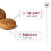 Royal Canin French Bulldog Adult Dry Dog Food 9kg image