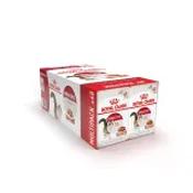 Royal Canin Instinctive Wet Cat Food in Gravy 48x85g image