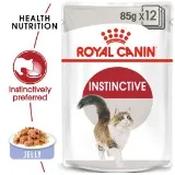 Royal Canin Instinctive in Jelly 85gr image