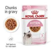 Royal Canin Kitten Wet Cat Food in Gravy 85g image