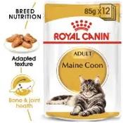 Royal Canin Maine Coon Adult 85gr image