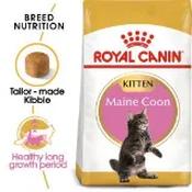 Royal Canin Maine Coon Kitten Dry Cat Food 10kg image