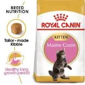 Royal Canin Maine Coon Kitten Dry Cat Food 2kg image