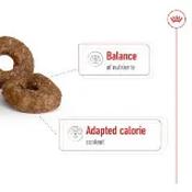 Royal Canin Maxi Energy Dry Dog Food 15kg image
