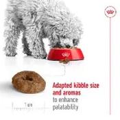 Royal Canin Maxi Neutered Adult Dry Dog Food 15kg image