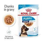 Royal Canin Maxi Puppy Wet Food 140g image