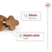 Royal Canin Maxi Special Dry Dog Food 15kg