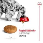 Royal Canin Medium Senior Dry Dog Food 15kg