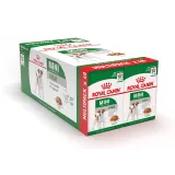 Royal Canin Mini Adult Wet Dog Food Chunks in Gravy 48x85g