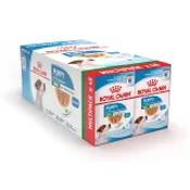 Royal Canin Mini Puppy Wet Dog Food 48x85g