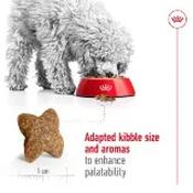 Royal Canin Mini Puppy Dry Dog Food 8kg image