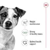 Royal Canin Mini Senior Dry Dog Food 8kg image