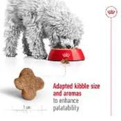 Royal Canin Mini Special Dry Dog Food 4kg