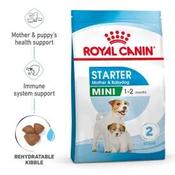 Royal Canin Mini Starter Mother &amp; Babydog 4kg image