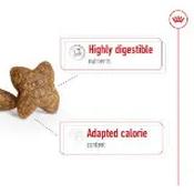 Royal Canin Mini Starter Mother &amp; Babydog Dry Dog Food 8kg image