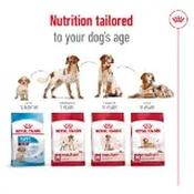 Royal Canin Poodle Adult Dry Dog Food 7.5kg image